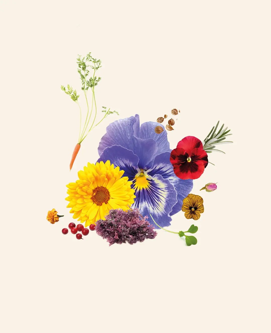 Germinarte