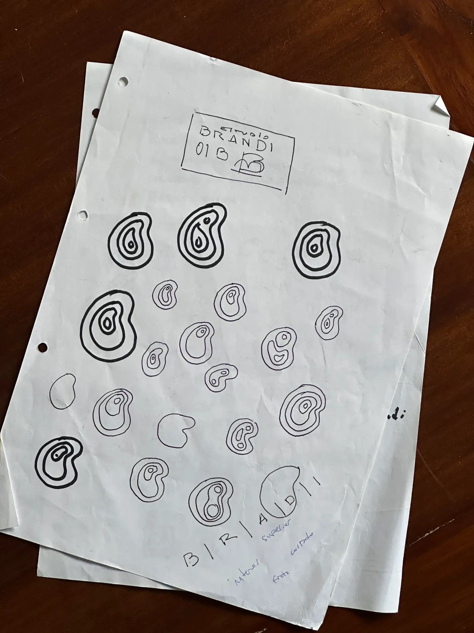 Bocetos de espirales concéntricas, dirección orgánica descartada